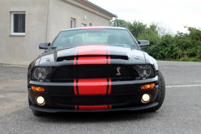 Shelby GT500 Super Snake 750 PS 2.jpg