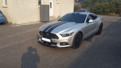 Mustang 2015.jpg