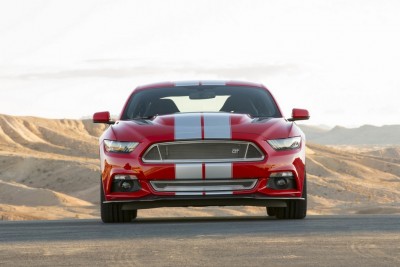 shelby 2015  1.jpg