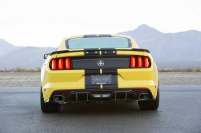 shelby 2015  9.jpg