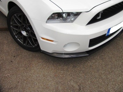 Shelby GT500 2011 09.jpg